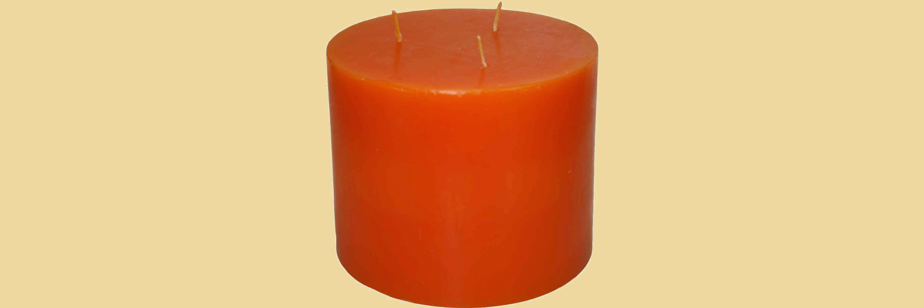 lichterketten garten DIY: Lichterketten-Halterung selber bauen Farbe:5ml Schwarz