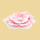 Waffel Blume rosa 8,3cm