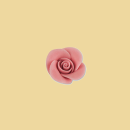 Marzipan Rose 24mm rosa