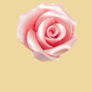 Zucker Rose rosa 6cm