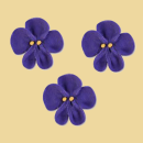 Zuckerveilchen violett 3er