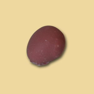 Mini Trüffelei Kirsch/Ruby per 100g