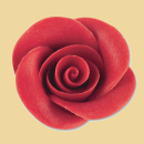 Marzipan Rose 44mm rot