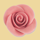 Marzipan Rose 44mm rosa