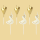 Geburtstagskerzen Schwan & Herzen gold/weiss