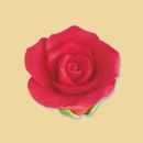 Feinzucker Rose rot 40mm