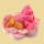 Baby mit Kleid schlafend auf pinker Blume