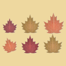Waffel Herbstblätter 4er bunt gemischt