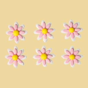 Gänseblümchen Zuckerblumen rosa 3,5cm 6er