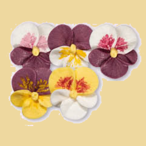 Stiefmütterchen Zuckerblumen 3er