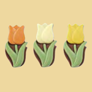 Schokolade Tulpe 3 Farben
