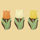 Schokolade Tulpe 3 Farben