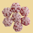 schwarze Johannisbeere Zuckerln/Bonbons