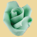 Marzipan Rose 31mm mint