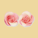 Marzipanrose weiß/rosa 35mm