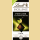 Lindt Excellence Pistazie Schokolade