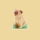 Marzipan Mops