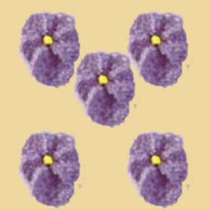 Zuckerveilchen Zuckerblumen 5er