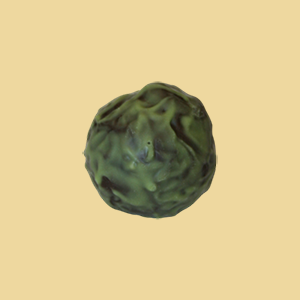 Thymian Tr&uuml;ffel per 100g