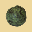 Thymian Tr&uuml;ffel per 100g