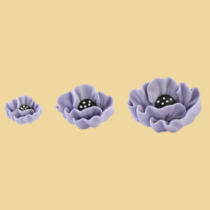 orientalische Zuckermohnblumen