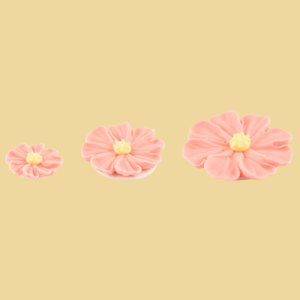Geranien Zuckerblumen 3er