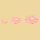 Geranien Zuckerblumen 3er
