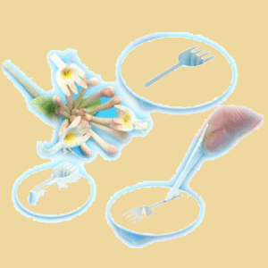 Ausstechform Honeysuckle 3er Set