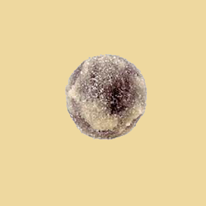 Vanille Eierlikör Trüffel 100g