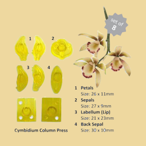 Small Cymbidium Orchideen Former 8er